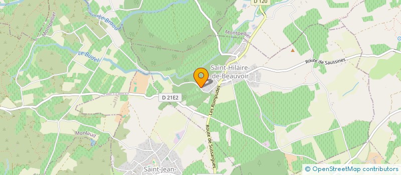 localisation de l'entreprise MADAME AURELIE RANDEYNES  SAINT-HILAIRE-DE-BEAUVOIR