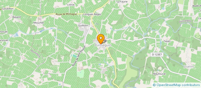 localisation de l'entreprise MADAME AURELIE ROBIN  PUISSEGUIN