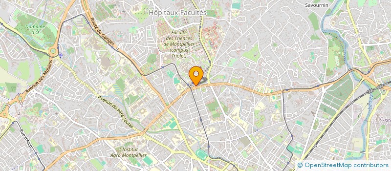 localisation de l'entreprise MADAME AURIANE MARY à MONTPELLIER