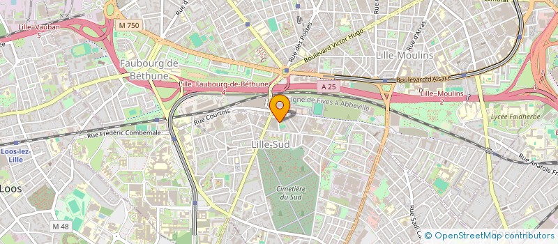 localisation de l'entreprise MADAME AURORE BONNINGUES à LILLE