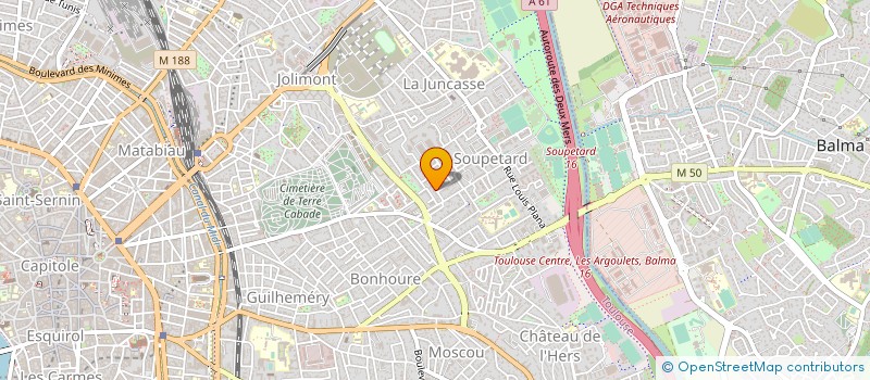 localisation de l'entreprise MADAME AURORE BORRUT-RIBES à TOULOUSE