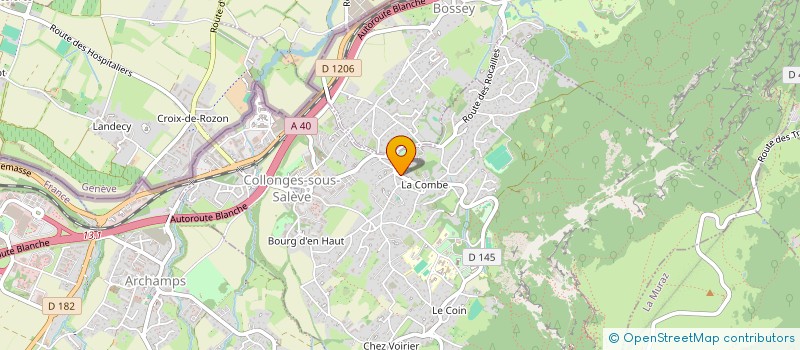 localisation de l'entreprise MADAME AURORE JANUS  COLLONGES-SOUS-SALEVE