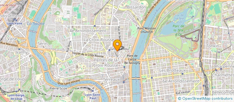 localisation de l'entreprise MADAME AURORE SOPHIE MARIE MANOLIU à LYON