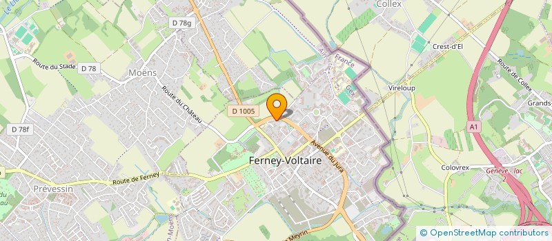 localisation de l'entreprise MADAME AWATIFE SAADOUN  FERNEY-VOLTAIRE