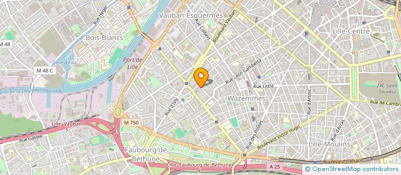 localisation de l'entreprise MADAME AXELLE MARCHAND à LILLE