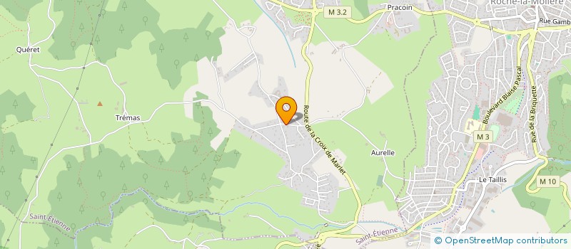 localisation de l'entreprise MADAME AXELLE TAUTON  SAINT-ETIENNE