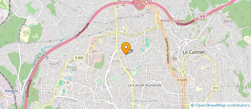 localisation de l'entreprise MADAME AXINIA IOURIEVA à LE CANNET