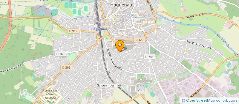 localisation de l'entreprise MADAME AYSEL AKYUZ  HAGUENAU