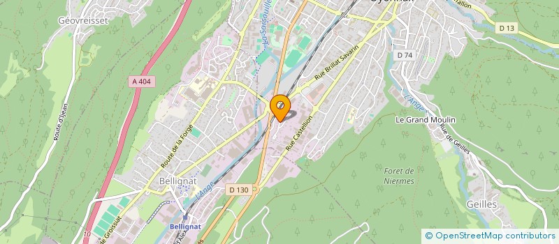localisation de l'entreprise MADAME AYTEN YALCIN à OYONNAX