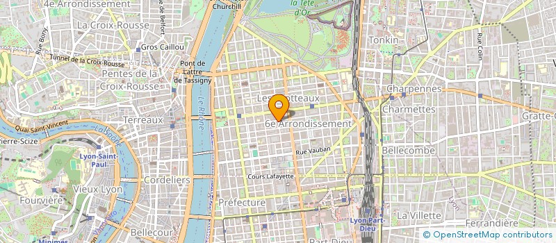 localisation de l'entreprise MADAME BADRA MEGUENNI TANI à LYON