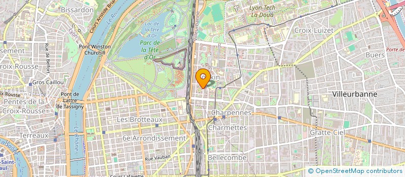 localisation de l'entreprise MADAME BARBARA BITTENCOURT BENEVENUTI  VILLEURBANNE