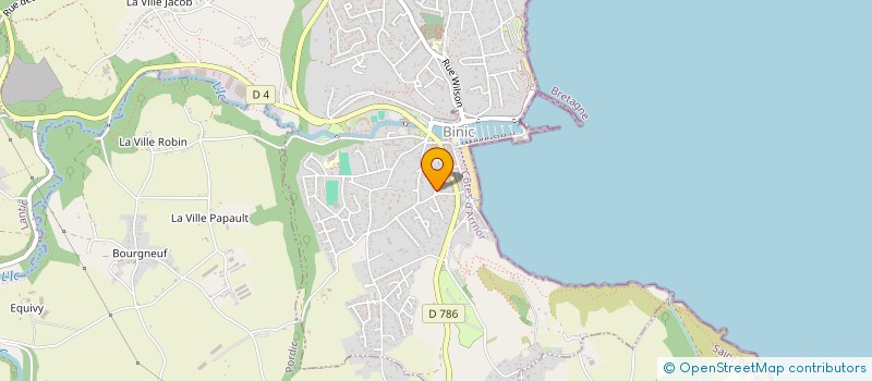 localisation de l'entreprise MADAME BARBARA BOIS  BINIC-ETABLES-SUR-MER