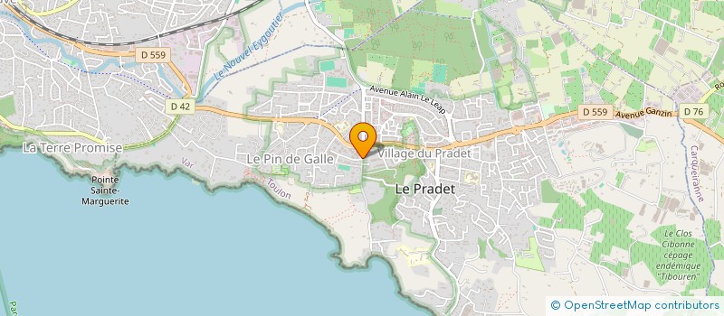 localisation de l'entreprise MADAME BARBARA BOUTAGNON à LE PRADET