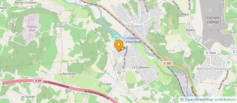 localisation de l'entreprise MADAME BARBARA DA COSTA PINTO à CHATILLON