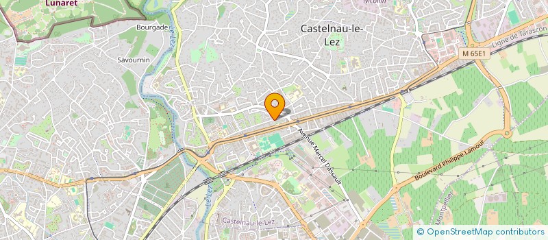 localisation de l'entreprise MADAME BARBARA DE CHAZAL à CASTELNAU-LE-LEZ