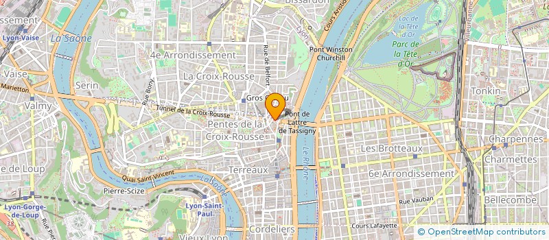 localisation de l'entreprise MADAME BARBARA PAPINI RODRIGUES à LYON