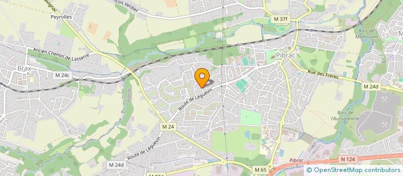 localisation de l'entreprise MADAME BARBARA SERIEYS  PIBRAC