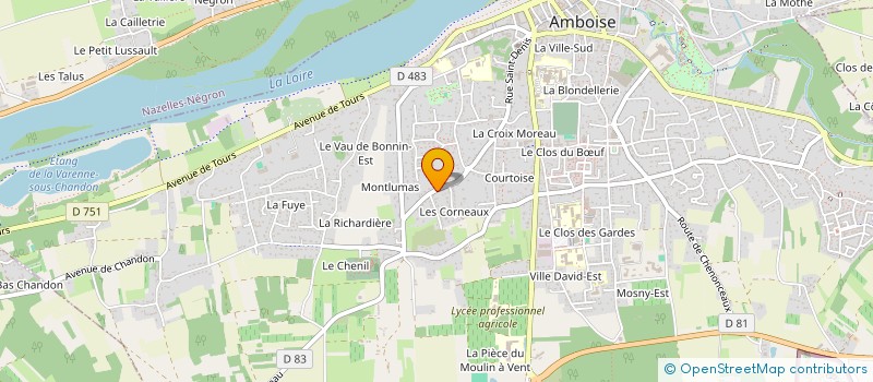 localisation de l'entreprise MADAME BARBARA VANDERSTRAETEN à AMBOISE