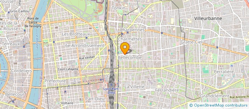 localisation de l'entreprise MADAME BARBARA VIDEIRA COSTA  LYON