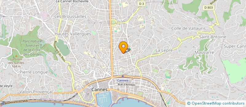 localisation de l'entreprise MADAME BAROERO PAPILLON à CANNES