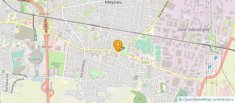 localisation de l'entreprise MADAME BARON RONNAUX à MEYZIEU