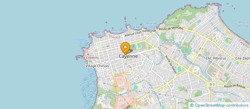 localisation de l'entreprise MADAME BASILIA RAMIREZ SANTOS  CAYENNE