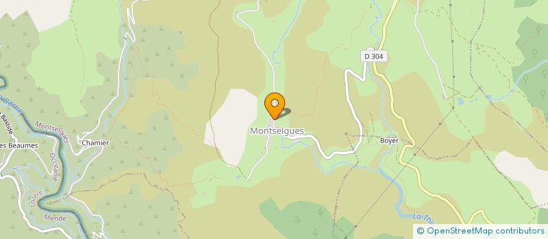 localisation de l'entreprise MADAME BEATRICE BOULANGER  MONTSELGUES