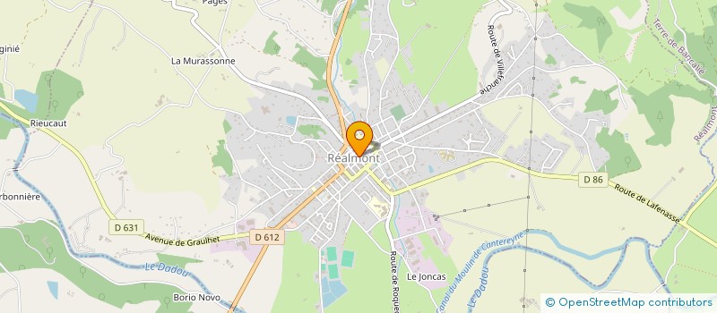 localisation de l'entreprise MADAME BEATRICE DUBUCK à REALMONT