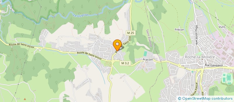 localisation de l'entreprise MADAME BEATRICE FAURE  SAINT-ETIENNE