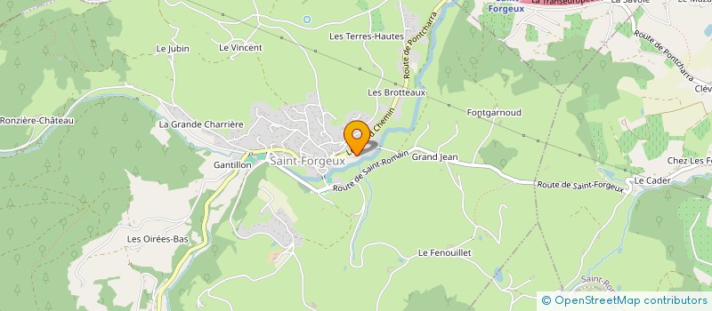 localisation de l'entreprise MADAME BEATRICE RAFFIN  SAINT-FORGEUX