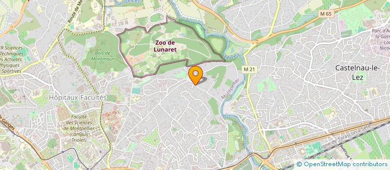 localisation de l'entreprise MADAME BEATRICE SERIEIS à MONTPELLIER