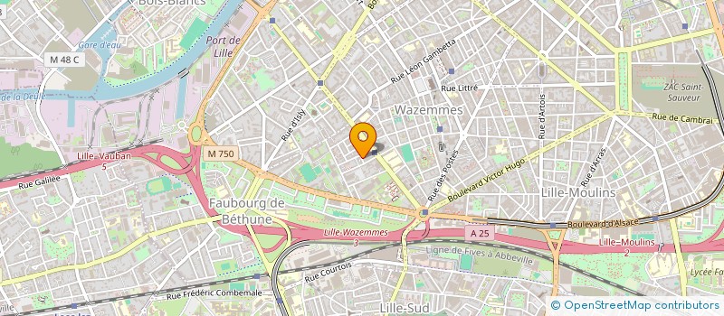 localisation de l'entreprise MADAME BEATRIZ MARIANA ARANDA SOTELO à LILLE
