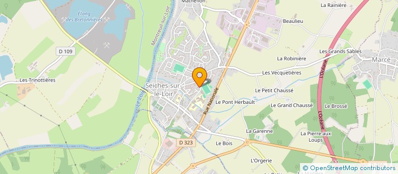 localisation de l'entreprise MADAME BEDRA HAIRECH  SEICHES-SUR-LE-LOIR