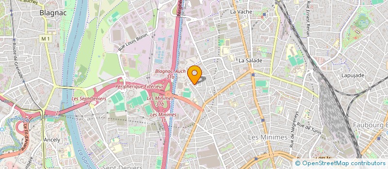 localisation de l'entreprise MADAME BELAYE ALEMU DISASA à TOULOUSE