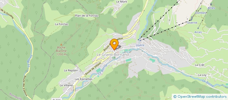 localisation de l'entreprise MADAME BENEDICTE BASTARD-ROSSET  LE GRAND-BORNAND