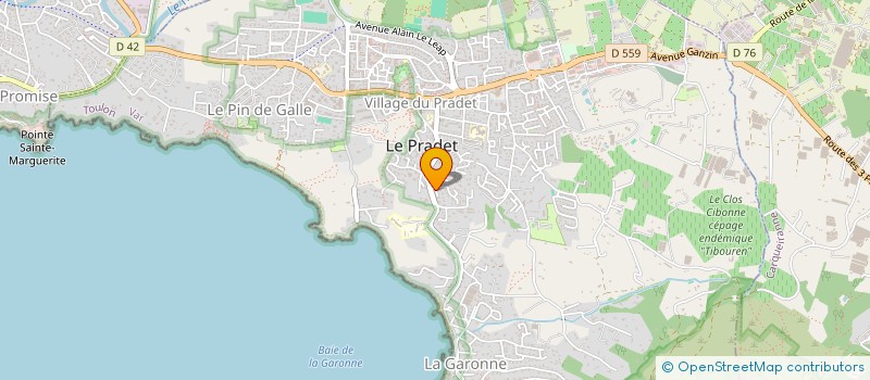 localisation de l'entreprise MADAME BENEDICTE DELAFORGE à LE PRADET