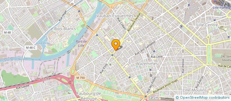 localisation de l'entreprise MADAME BENEDICTE DELEPLANQUE à LILLE