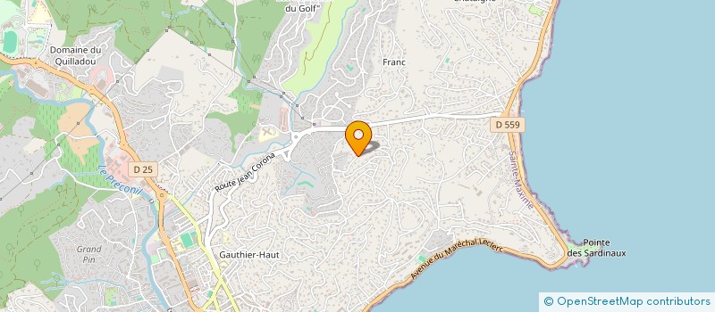 localisation de l'entreprise MADAME BENEDICTE HANIN à SAINTE-MAXIME