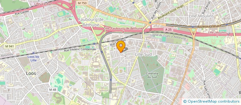 localisation de l'entreprise MADAME BENEDICTE HANTON à LILLE