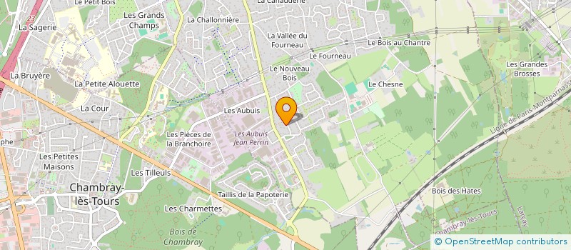 localisation de l'entreprise MADAME BENEDICTE PIRODEAU  SAINT-AVERTIN