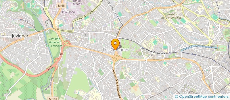 localisation de l'entreprise MADAME BENEDICTE PUJO à MONTPELLIER
