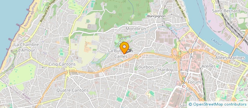 localisation de l'entreprise MADAME BENEDICTE RIGAUX  ANGLET