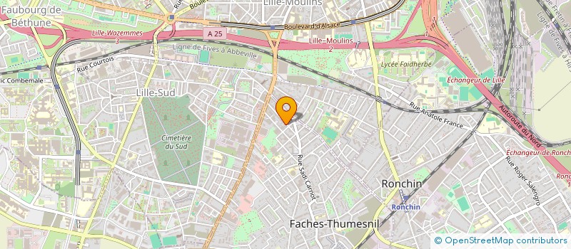 localisation de l'entreprise MADAME BENEDICTE WARYN à FACHES-THUMESNIL