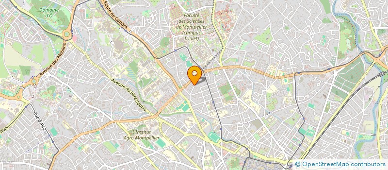 localisation de l'entreprise MADAME BENMOULOUD RACHA  MONTPELLIER