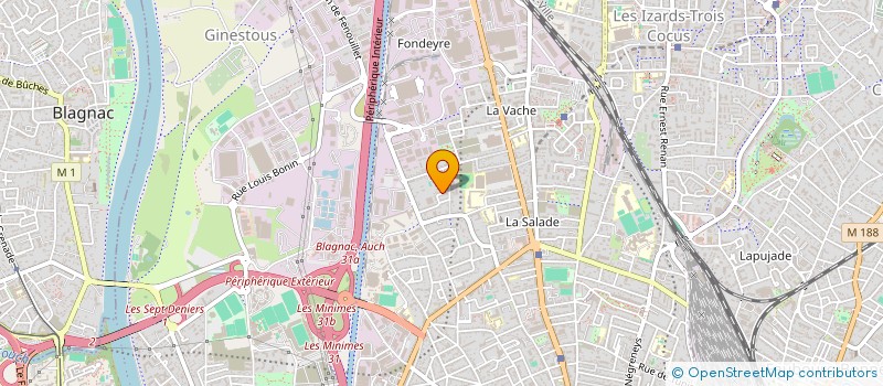 localisation de l'entreprise MADAME BERANGERE HUSSON  TOULOUSE