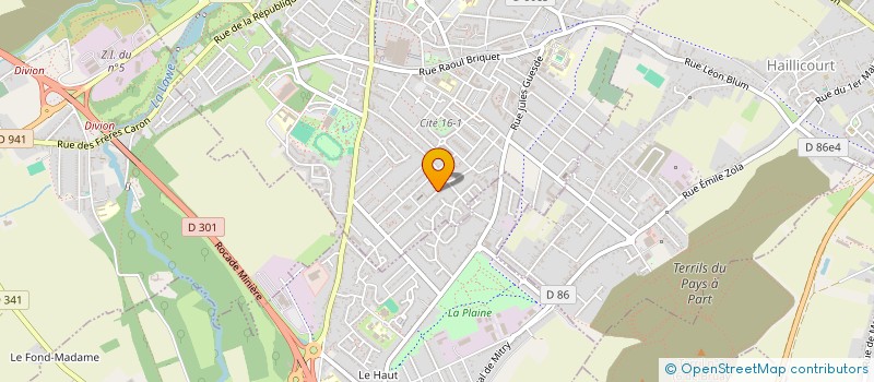 localisation de l'entreprise MADAME BERCHE JANQUIN à BRUAY-LA-BUISSIERE