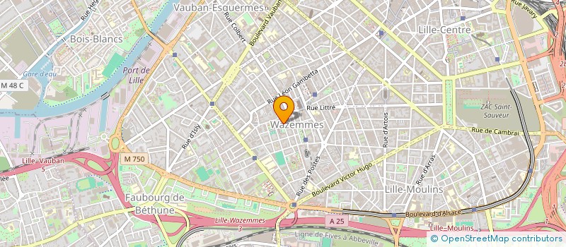 localisation de l'entreprise MADAME BERENICE ELISABETH à LILLE