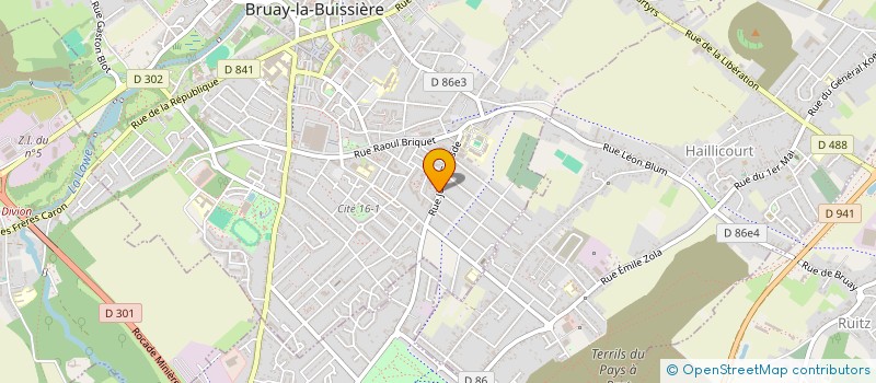 localisation de l'entreprise MADAME BERENICE JANAS  BRUAY-LA-BUISSIERE