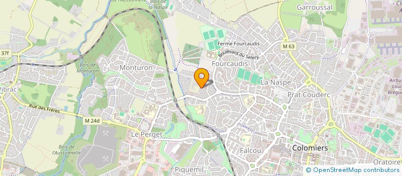 localisation de l'entreprise MADAME BERENICE TSINI à COLOMIERS