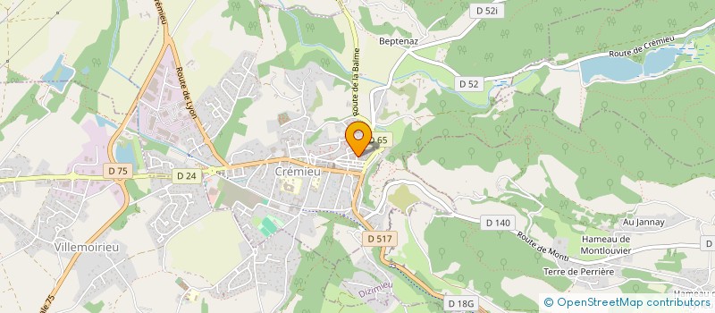 localisation de l'entreprise MADAME BERNADETTE BONNARD  CREMIEU